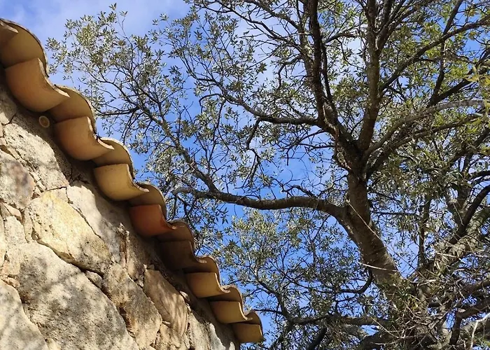 Вилла Casa Felice, Bergerie En Pierre, Jacuzzi, Jardin *