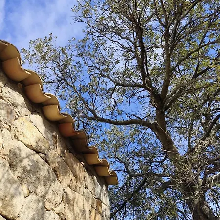 Villa Casa Felice, Bergerie En Pierre, Jacuzzi, Jardin *