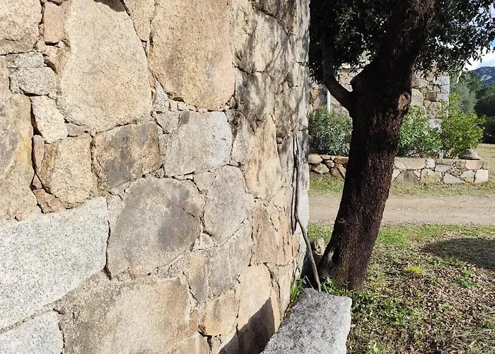 Vila Casa Felice, Bergerie En Pierre, Jacuzzi, Jardin San-Gavino-di-Carbini